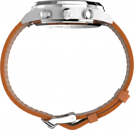 Часы наручные Timex TW2V73900