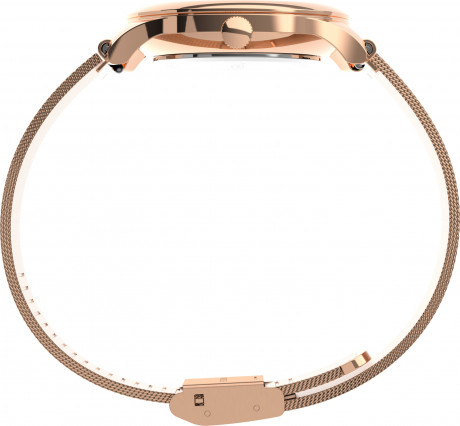 Наручные часы Timex TW2V01400