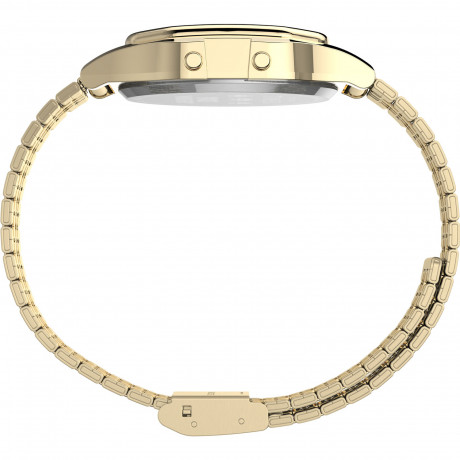 Наручные часы Timex TW2V30100