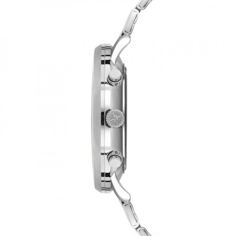 Часы наручные Wesse WWG401103SSA