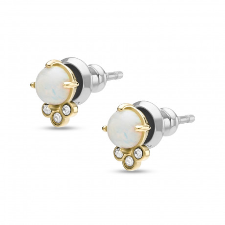 Серьги Fossil JF03876710