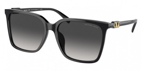 Очки Michael Kors 0MK2197U30058G56