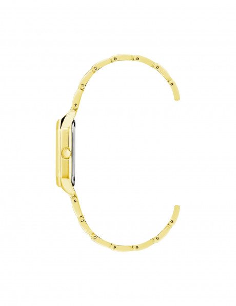 Часы наручные Anne Klein 3774BHGB