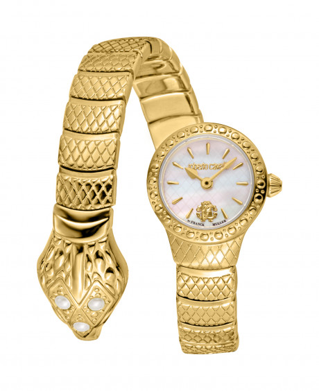 Часы наручные Roberto Cavalli by Franck Muller RV1L224M0021