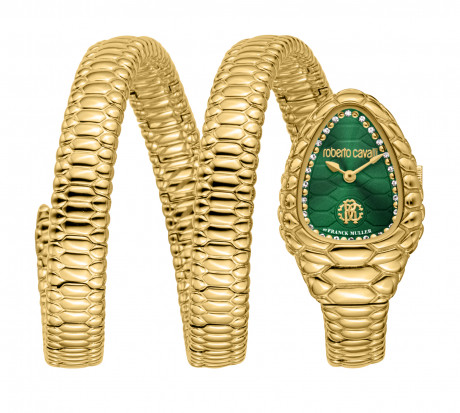 Часы наручные Roberto Cavalli by Franck Muller RV1L237M0041