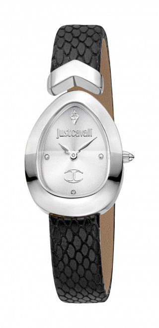 Часы наручные Just Cavalli JC1L321L0015