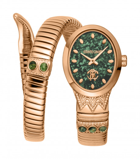 Часы наручные Roberto Cavalli RC5L104M0045