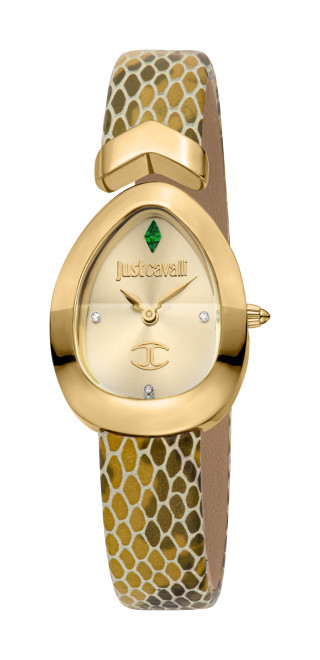Часы наручные Just Cavalli JC1L321L0035