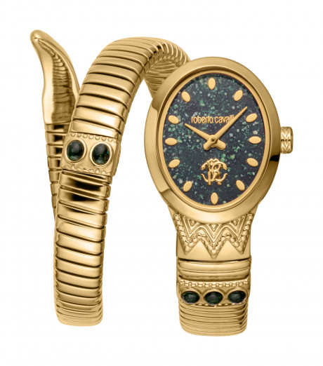 Часы наручные Roberto Cavalli RC5L104M0035
