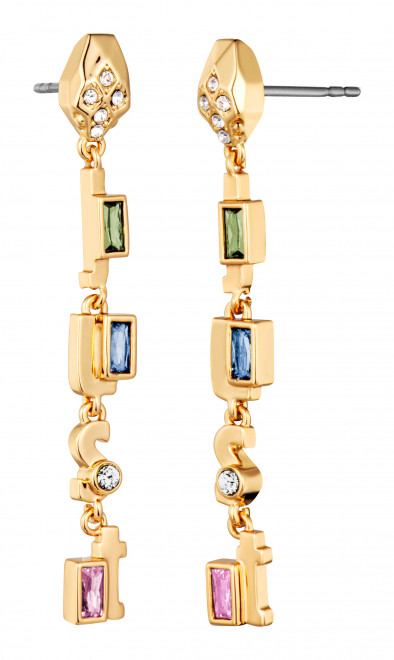 Серьги Just Cavalli JCER01843200