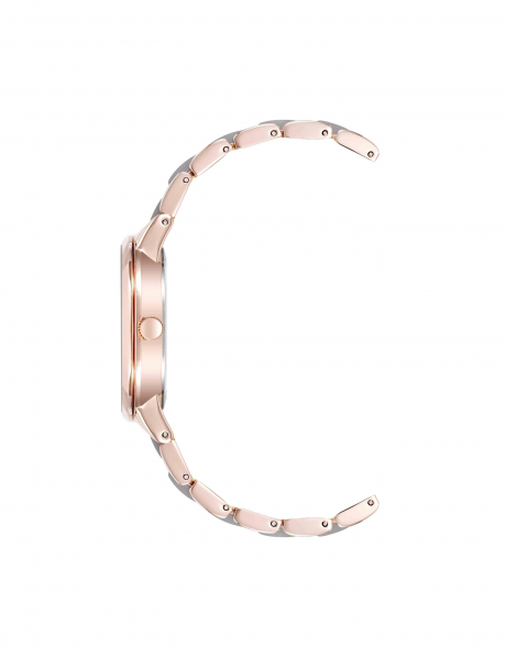 Часы наручные Anne Klein 1412TPRG