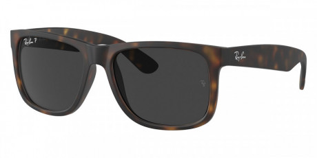 Очки  Ray Ban 0RB4165F865/8755