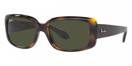 Очки  Ray Ban 0RB4389710/3155