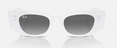 Очки  Ray Ban 0RB442767591149