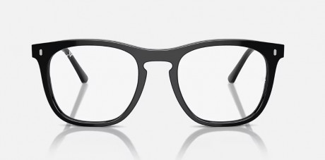 Оправа RAY BAN 0RX2210V200053