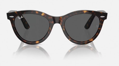 Очки Ray Ban 0RB2241F902/B154