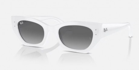 Очки Ray Ban 0RB443067591152