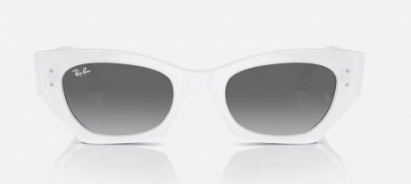 Очки Ray Ban 0RB443067591152