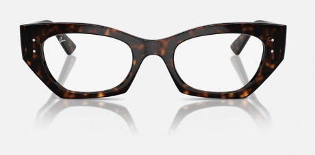 Оправа RAY BAN 0RX7330F832049