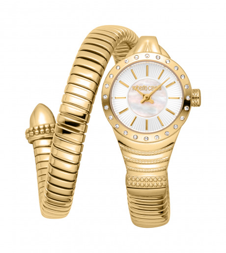 Часы наручные Roberto Cavalli RC5L114M0025