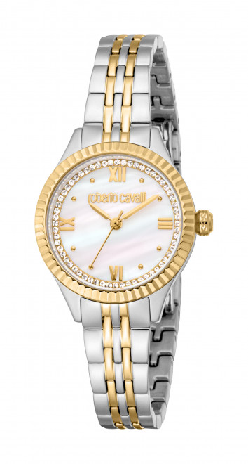 Часы наручные Roberto Cavalli RC5L124M0085