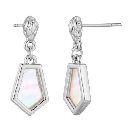 Серьги Just Cavalli JCER02113100