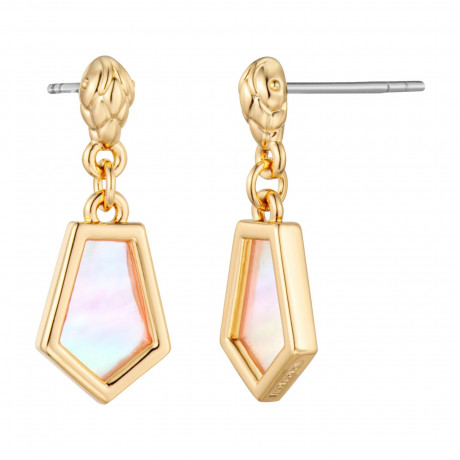 Серьги Just Cavalli JCER02113200