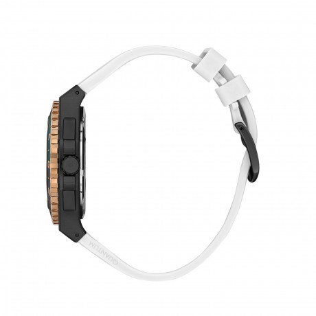 Часы наручные Quantum PWG1147.093