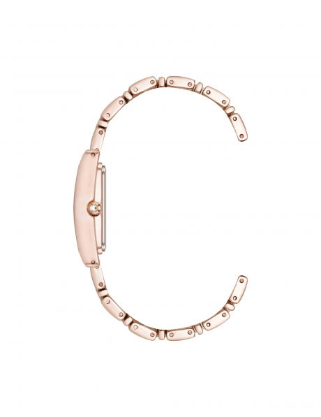 Часы наручные Anne Klein 5168RGRG