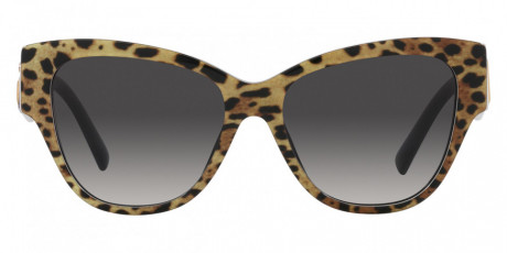 Очки Dolce & Gabanna 0DG444931638G54