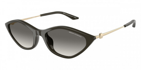 Очки Armani Exchange 0AX4152SU83671155
