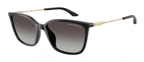 Очки Armani Exchange 0AX4171SU81588G55