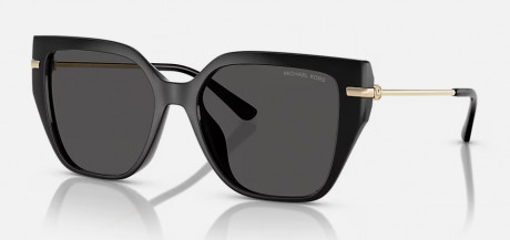 Очки Michael Kors 0MK2231U30058754