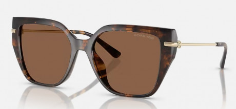 Очки Michael Kors 0MK2231U30063G54