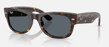 Очки Ray Ban 0RB0832S902/R552