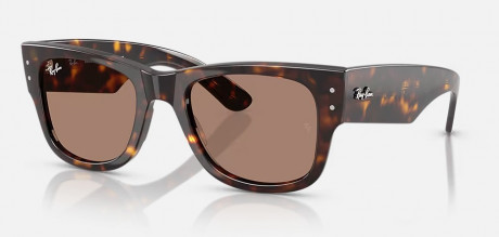 Очки Ray Ban 0RB0840S902/1A51