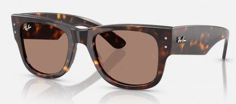 Очки Ray Ban 0RB0840SF902/1A52