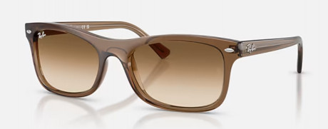 Очки Ray Ban 0RB222666405157