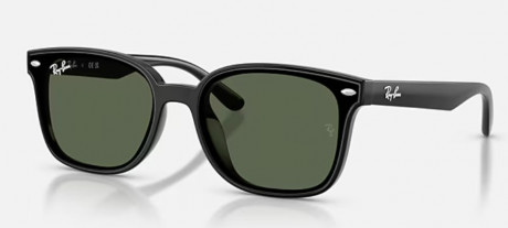 Очки Ray Ban 0RB4461D601/7164